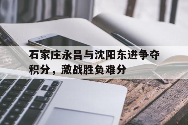 石家庄永昌与沈阳东进争夺积分，激战胜负难分的简单介绍
